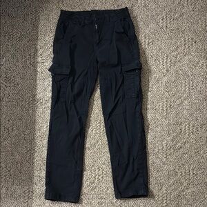American Eagle Outfitters Dark Cargo Pants